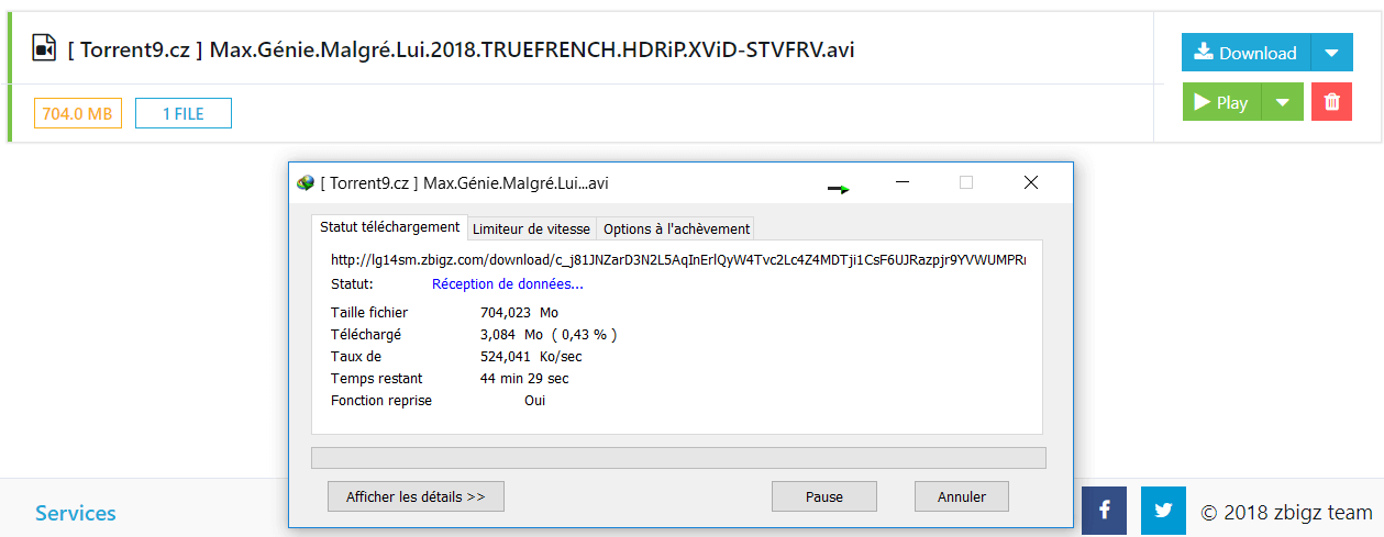 How to Download Torrent with Internet Download Manager – 5 Ways