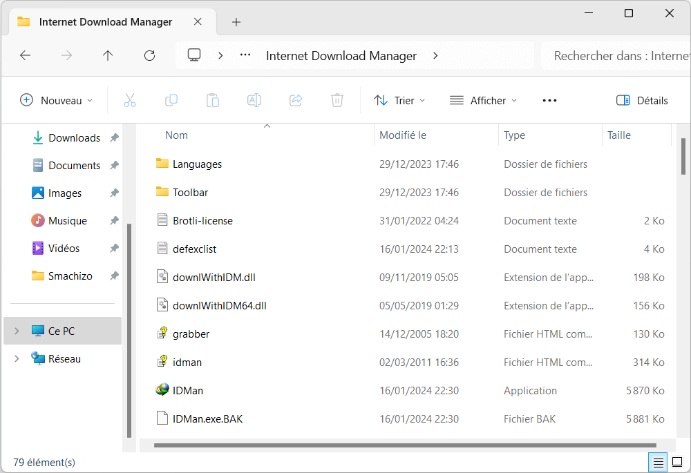 Patch IDM 2024 - T&eacute;l&eacute;charger IDM 6.42 Build 50 Crack Gratuit + Patch 2024 Complet Final