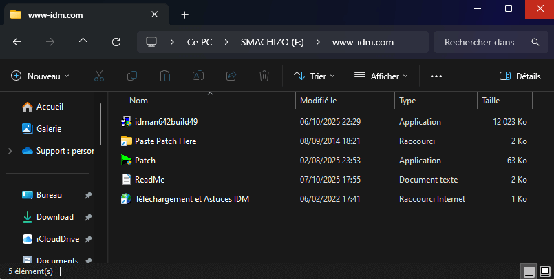 IDM 6.42 Build 49 Dossier 2025 - T&eacute;l&eacute;charger IDM 6.42 Build 50 Crack Gratuit + Patch 2024 Complet Final